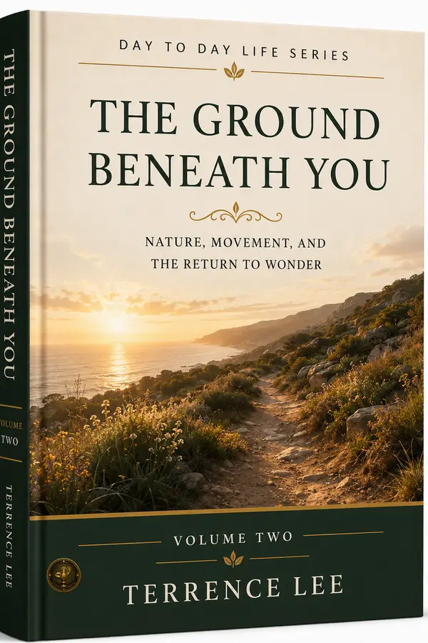 The Ground Beneath You book cover